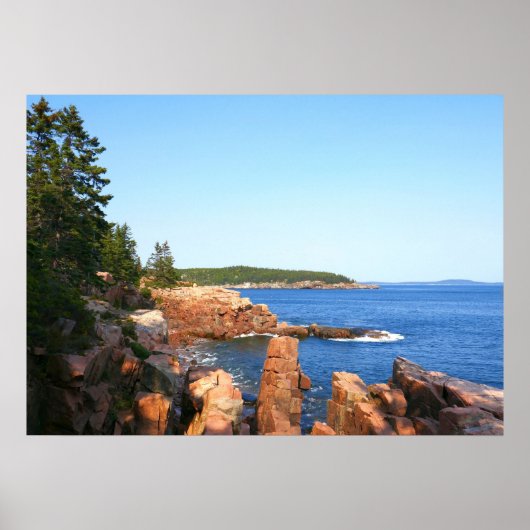 Poster Plage rocheuse d'Acadia près de Thunder Hole (Devant)