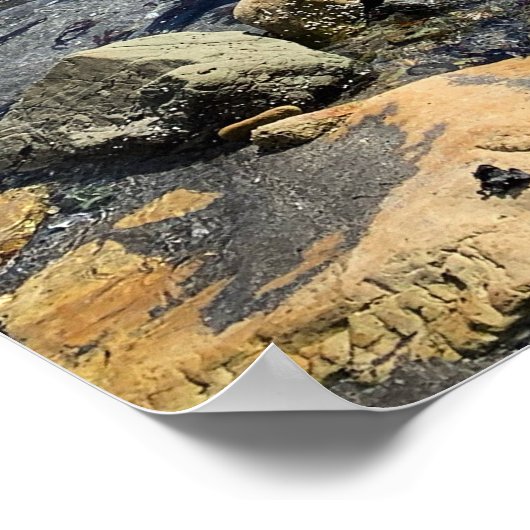 Poster Plage rocheuse de l'Oregon (Coin)