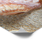 Poster Plage Sable Blanc Coquillage (Coin)