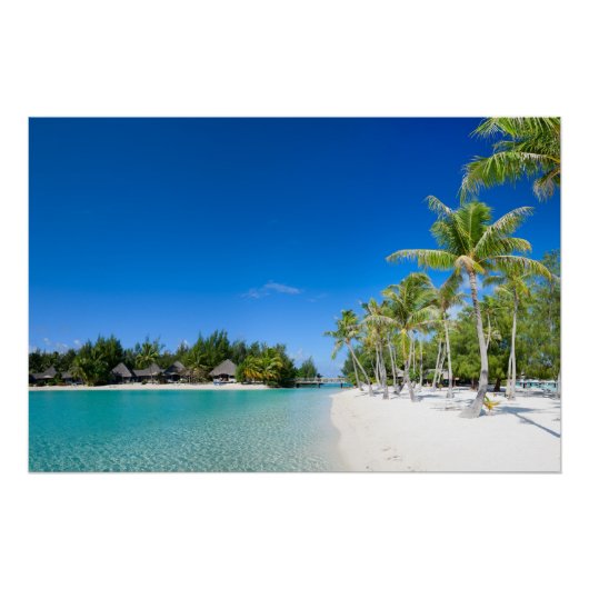 Poster Plage tropicale (Devant)