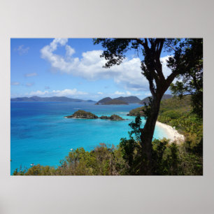 Poster Plage tropicale