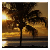 Poster Plage tropicale (Devant)