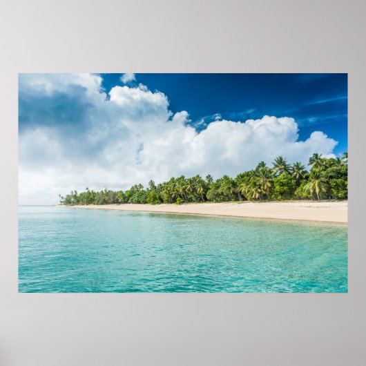 Poster Plage tropicale bordée de palmiers (Devant)