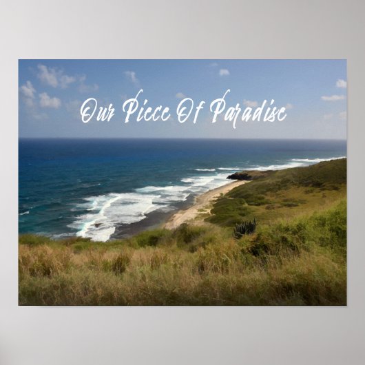 Poster Plage tropicale de la mer (Devant)