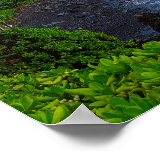 Poster Plage tropicale de Maui Hawaiian Island (Coin)