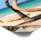 Poster Plage Tropicale Et Palmier (Coin)