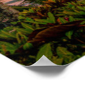 Poster Plage tropicale | Parc national du Corcovado (Coin)