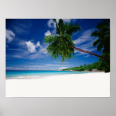 Poster Plage tropicale | Seychelles (Devant)