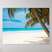 Poster Plage tropicale Turquoise (Devant)