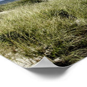 Poster Plage, Welfleet MA (Coin)