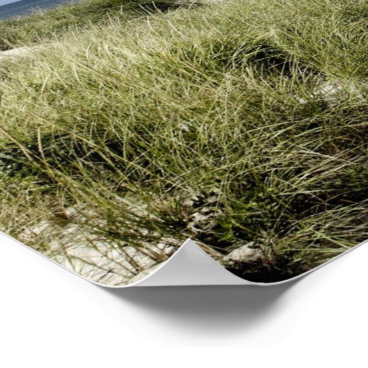 Poster Plage, Welfleet MA (Coin)