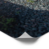 Poster Plages 3 (Coin)