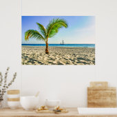 Poster Plages tropicales | Bateau, Palmier, Aruba (Cuisine)