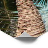 Poster Plages tropicales | Dusit Thani Maldives (Coin)