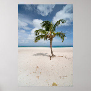 Poster Plages tropicales   Eagle Beach, Aruba