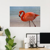 Poster Plages tropicales | Flamant rose des Caraïbes, Aru (Bureau à domicile)