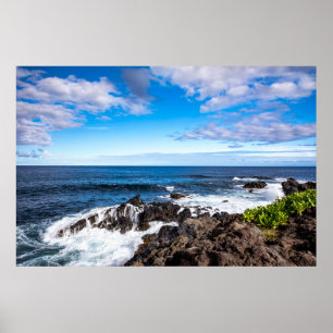 Poster Plages tropicales   Parc national de Haleakala Mau