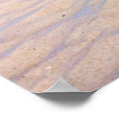 Poster Plages tropicales | Plage de sable d'Aruba (Coin)