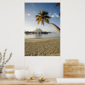 Poster Plages tropicales | Plages, Bora Bora (Cuisine)
