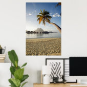 Poster Plages tropicales | Plages, Bora Bora (Bureau à domicile)