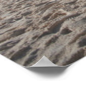 Poster Plages tropicales | Sandy Beach, Anguilla (Coin)