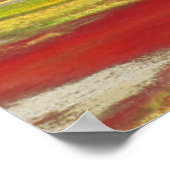 Poster Plaine de sel et forêt | Parc national Wood Buffal (Coin)