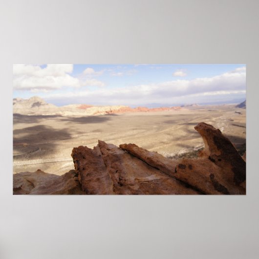 Poster Plaine du désert (Devant)