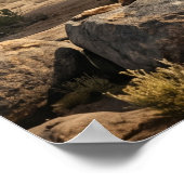 Poster Plaines anciennes de l'éléphant de pierre (Coin)