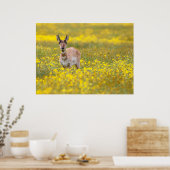 Poster plaines de carrizo passé (Cuisine)