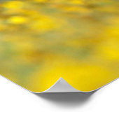 Poster plaines de carrizo passé (Coin)