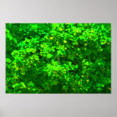 Poster Plaisir (Devant)