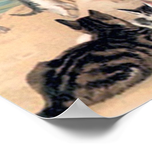 Poster Plaisir de chats à la plage (Coin)