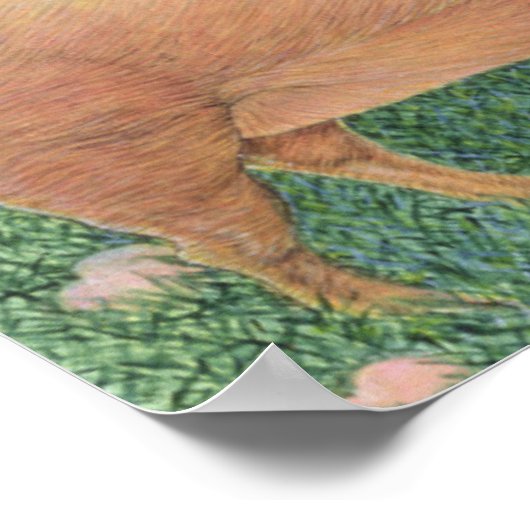 Poster Plaisir pur (Coin)