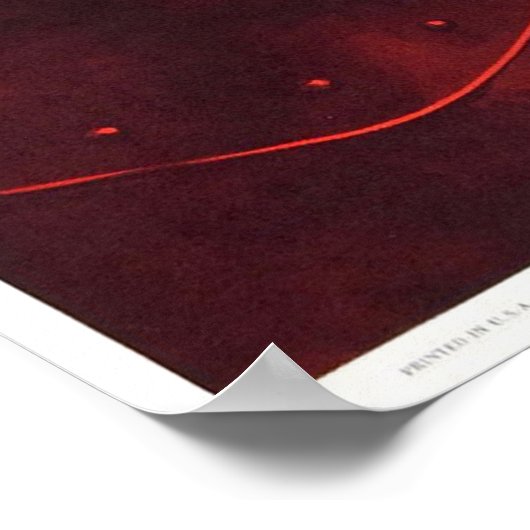 Poster Plan_9_De L'Espace Extérieur (Coin)