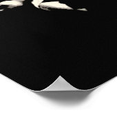 Poster Plan 9 de l'espace extra-atmosphérique (Coin)