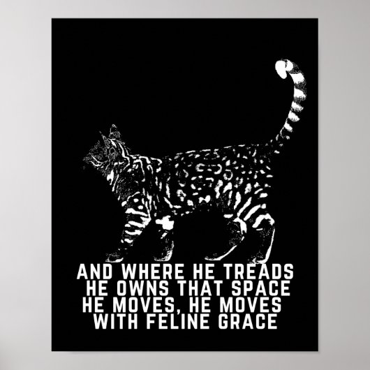 Poster Plan de chat avec poème de grâce félin noir (Devant)