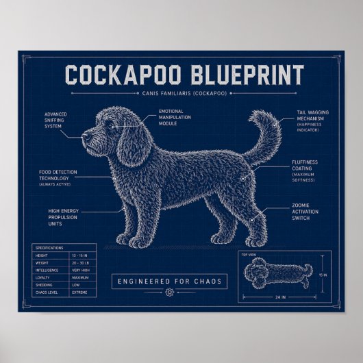 Poster Plan de Cockapoo sur toile Cadeau pour amateur de (Devant)