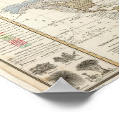 Poster Plan de la géographie plante (Coin)