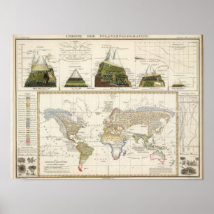 Poster Plan de la géographie plante