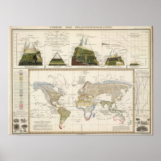 Poster Plan de la géographie plante (Devant)