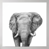 Poster Plan de sauvegarde IV (Devant)