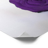 Poster Plan de table élégant avec rose royale violette po (Coin)