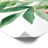 Poster Plan d'été de la verge (Coin)