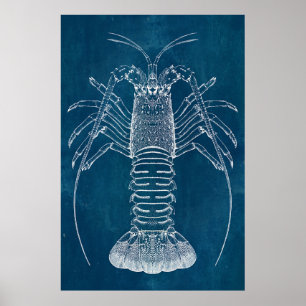 Poster Plan directeur du homard