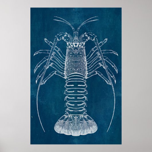 Poster Plan directeur du homard (Devant)