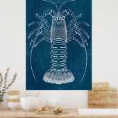 Poster Plan directeur du homard (Cuisine)