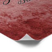 Poster Plan directeur Velocipede (Coin)