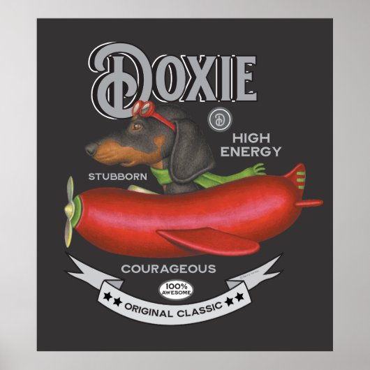 Poster Plan En Saucisson Volant De Cute Dachshund (Devant)