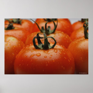 Poster Plan rapproché des tomates 2