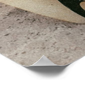 Poster Planche de surf blanche et noire (Coin)